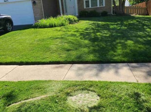 Robert L.'s lawn care services service result