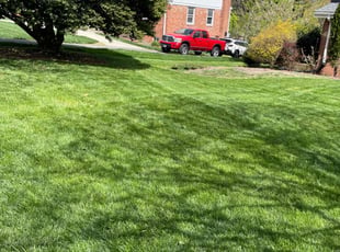 Albert M.'s lawn care services service result