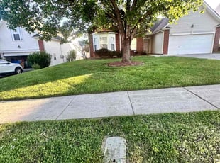 Peter S.'s turf maintenance service result