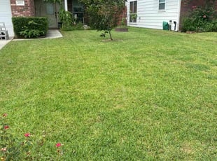 Danna N.'s turf care service result