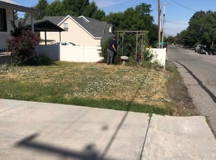 Mary B.'s Bush Trimming service result