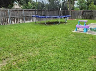 Teisha M.'s lawn maintenance service result
