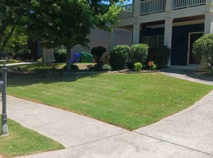 Anthony B.'s grass maintenance service result