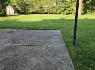 Angela H.'s lawn service service result