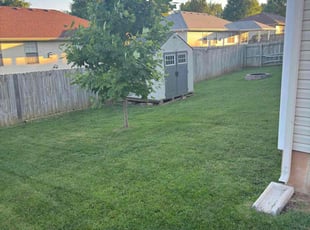 Madeline H.'s Tree Care service result