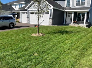 Linda P.'s lawn maintenance service result
