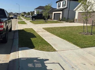 Denver M.'s grass maintenance service result
