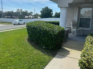 Steven K.'s Bush Trimming service result