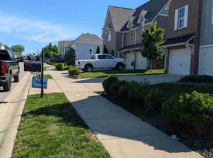 Josh B.'s lawn service service result