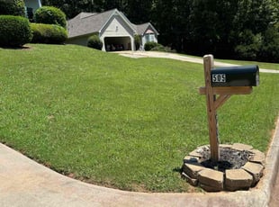 Colby T.'s yard work service result