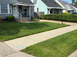 Katherine M.'s turf care service result