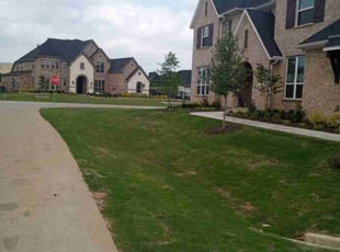Dandi D.'s lawn care services service result
