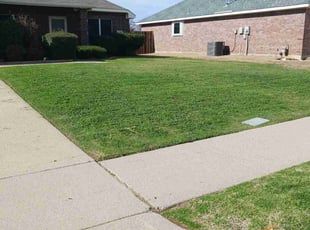 Sean H.'s grass maintenance service result