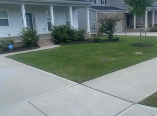 Shatara B.'s lawn service service result
