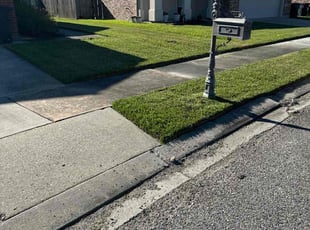 Nancy L.'s lawn maintenance service result