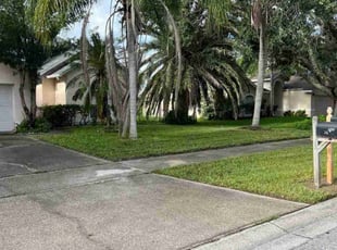 Paul I.'s lawn service service result