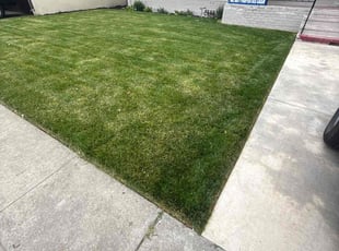 Justin C.'s lawn service service result