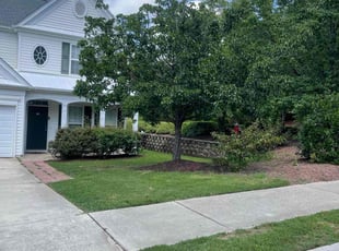 Jesus R.'s lawn care service result