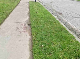 Francisco F.'s grass cutting service result