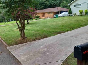 Darren S.'s grass maintenance service result