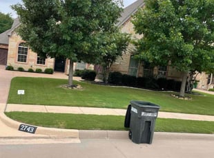 Helen W.'s turf care service result