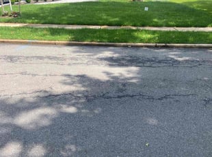ANDREW G.'s grass cutting service result