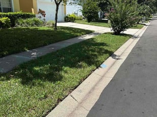 Maria C.'s lawn care service result