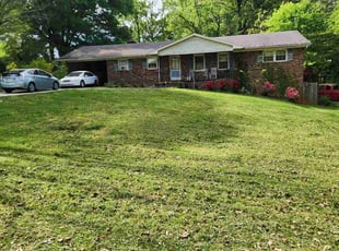 Sarah S.'s lawn care services service result