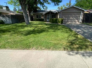 Christopher J.'s turf maintenance service result