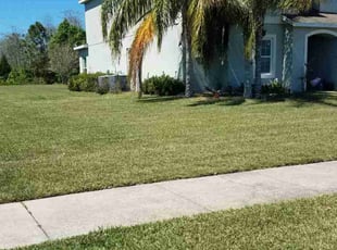 'Topher T.'s grass cutting service result