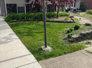 Anne C.'s lawn care service result