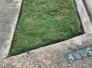 Farrah G.'s turf maintenance service result