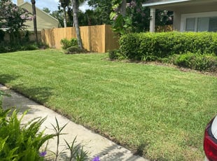 Yosef J.'s lawn care services service result