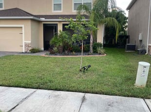 Jason C.'s yard service service result