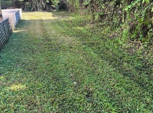 Tracy B.'s lawn care service result