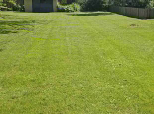 RICH O.'s lawn maintenance service result