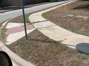 Kemekia D.'s grass cutting service result