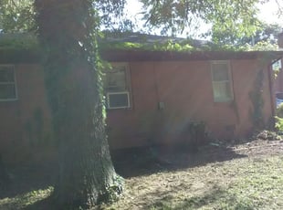 Matthew B.'s Bush Trimming service result