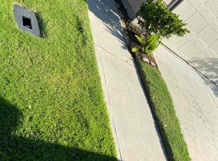 Laura P.'s lawn maintenance service result