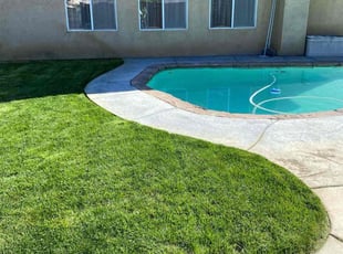 Winston W.'s lawn care services service result