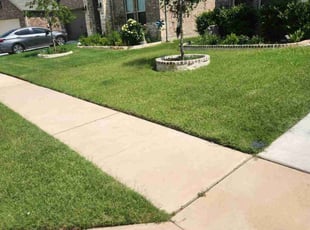 Beverly M.'s turf maintenance service result