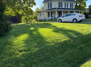 May T.'s grass cutting service result