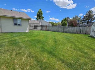 Cortney H.'s turf care service result
