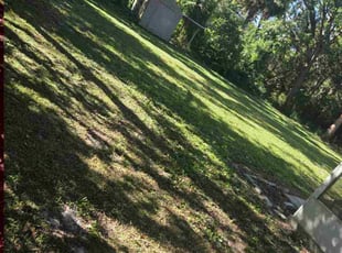 Zina H.'s lawn care service result