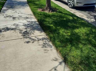 Danny h.'s grass cutting service result