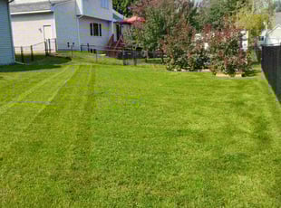 Kayla B.'s lawn service service result