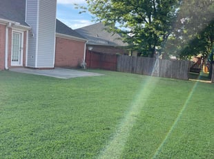 Ian J.'s lawn care services service result