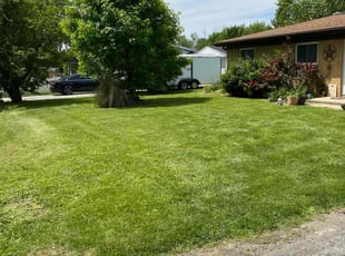 Heather K.'s grass maintenance service result