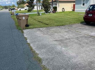 Tiffany C.'s lawn service service result