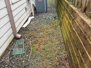 Erin F.'s turf maintenance service result